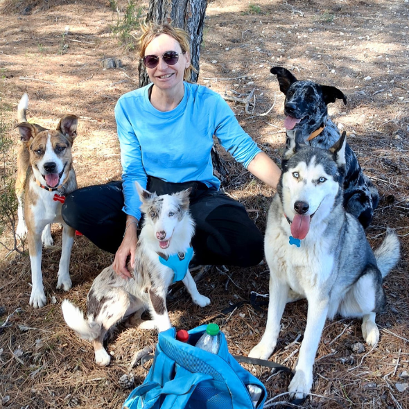 Chica con un husky, border collie, carea leones y mix de beagle sentados en un bosque