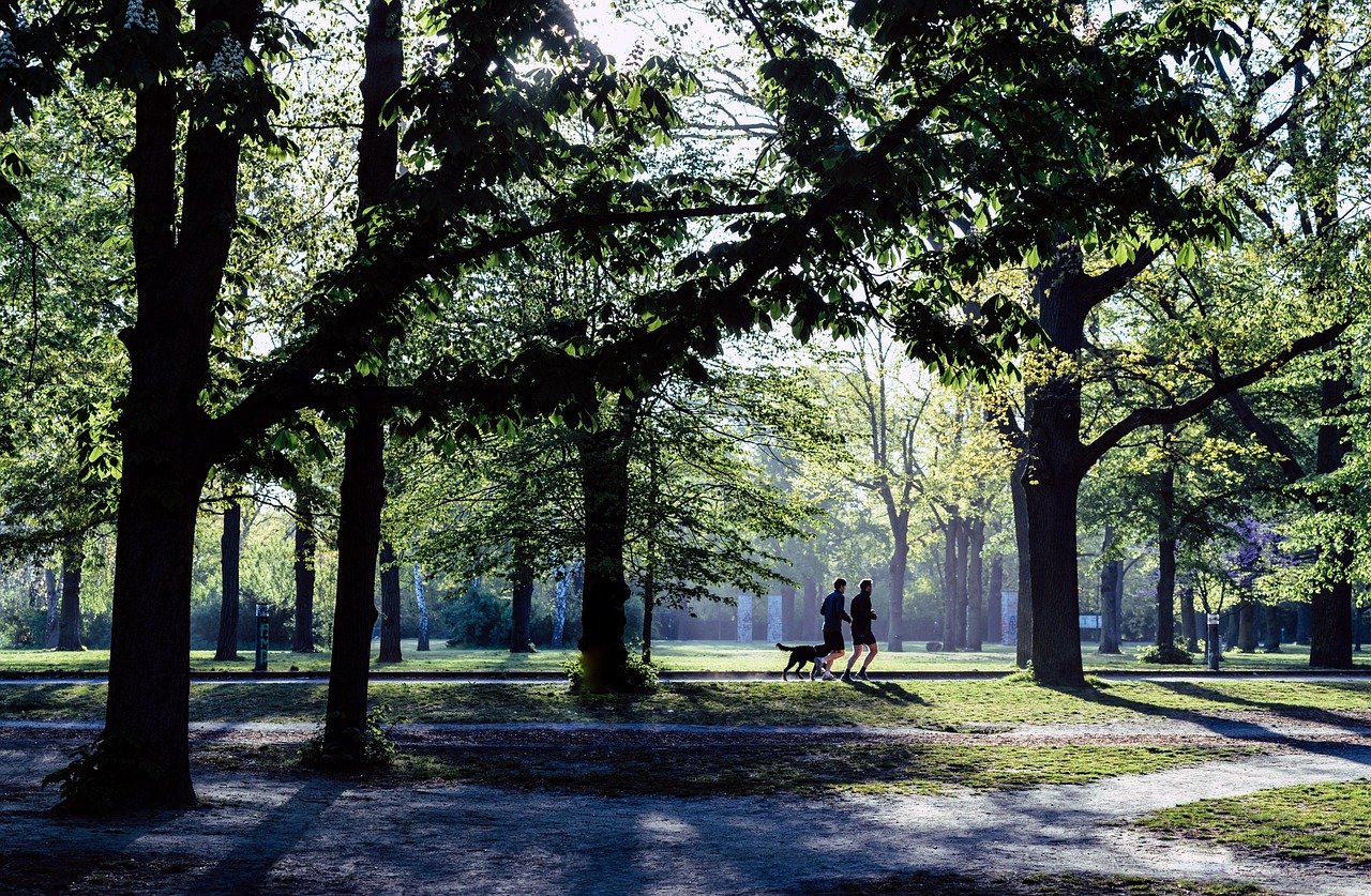 Personas en un parque haciendo footing con un perro