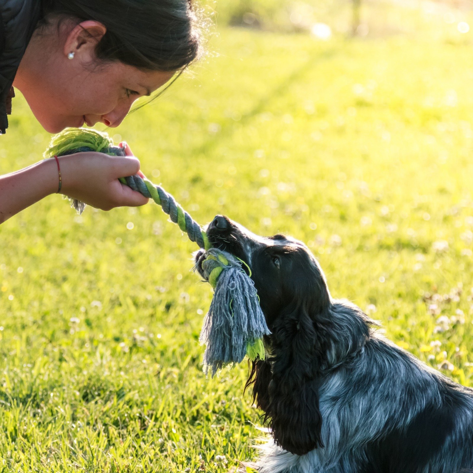 Mujer jugando con perro de raza cocker